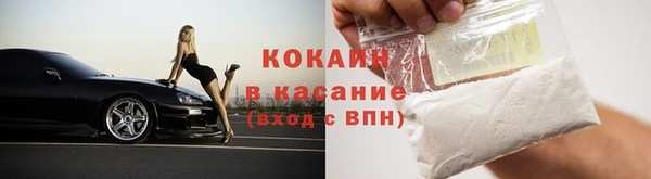 тгк Богданович