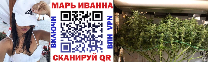 Конопля семена Купить где Бакал
